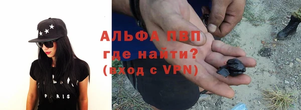 шишки Алзамай