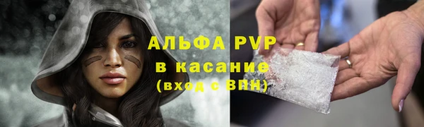 шишки Алзамай