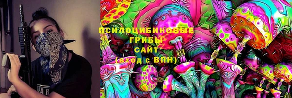 шишки Алзамай