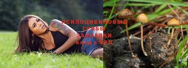 шишки Алзамай